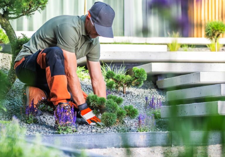 Landscaping,-Outdoor-Design-&-Maintenance